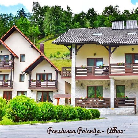 Pensiunea Poienita Albac Buitenkant foto