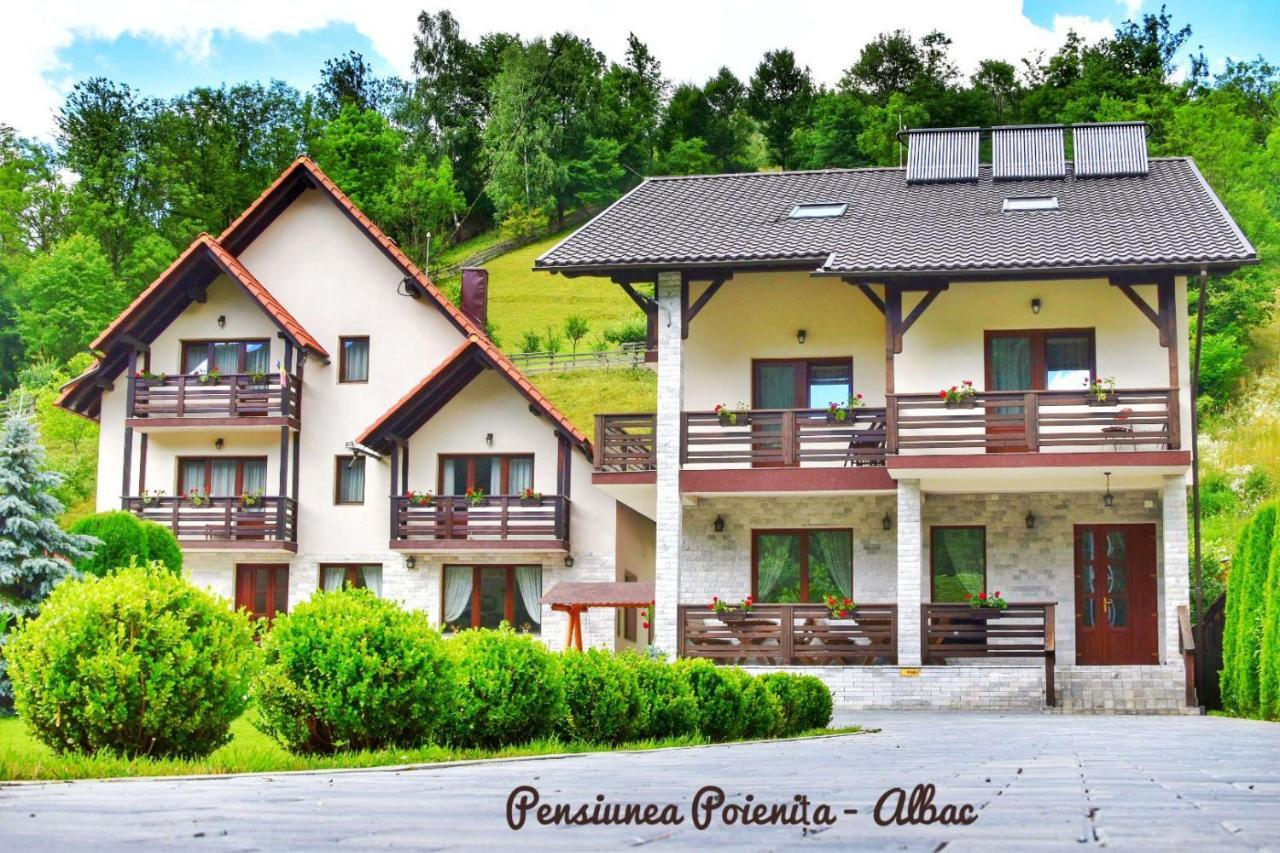 Pensiunea Poienita Albac Buitenkant foto