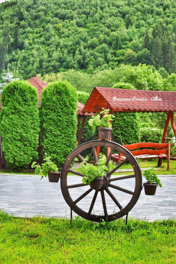 Pensiunea Poienita Albac Buitenkant foto